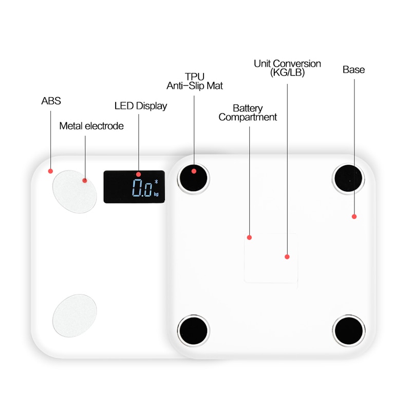 Bluetooth Smart Scale in White