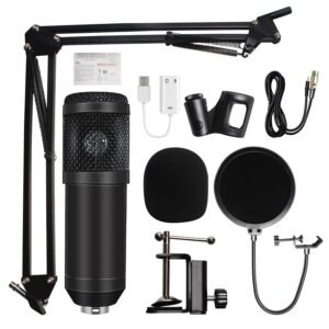 Professional Recording Microphone Set for YouTube and TikTok (ALPOWL BM-800 Omnidirectional Microphone, Arm, Shock Mount, Pop Shield)